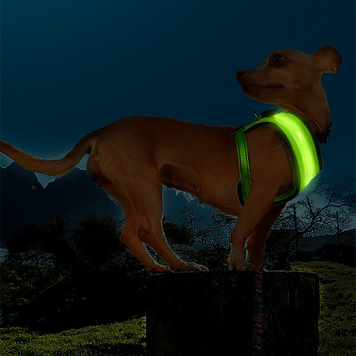 LED Dog Vest Harness with USB Charging