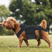 Dog Back Brace for IVDD, Arthritis & Recovery