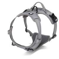 Large Dog Chest and Back Protection Harness